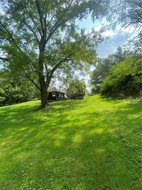 4159 Wallace Rd, Hampton, PA 15101 - photo 21