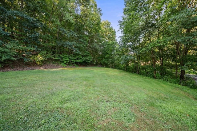 584 Chapel Rd, Center Twp, PA 15001 - photo 28