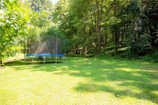 115 Timblin Rd, Clay Twp, PA 16001 - photo 3
