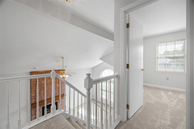 2903 Claridge Dr, Shaler, PA 15101 - photo 23