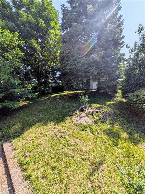 1421 Meadow St, Mckeesport, PA 15132 - photo 16