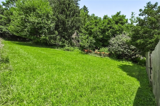 2101 E Beckert Ave, Reserve, PA 15212 - photo 30