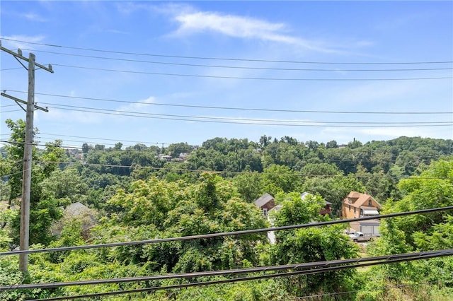 132 Fairview Ave, Chalfant Boro, PA 15112 - photo 4