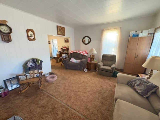 803 Sutton St, Punxsutawney Area School District, PA 15767 - photo 22