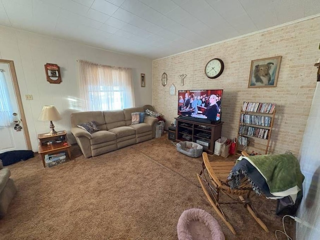 803 Sutton St, Punxsutawney Area School District, PA 15767 - photo 20