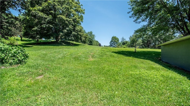 105 Snyder Ln, Buffalo Twp, PA 16055 - photo 6