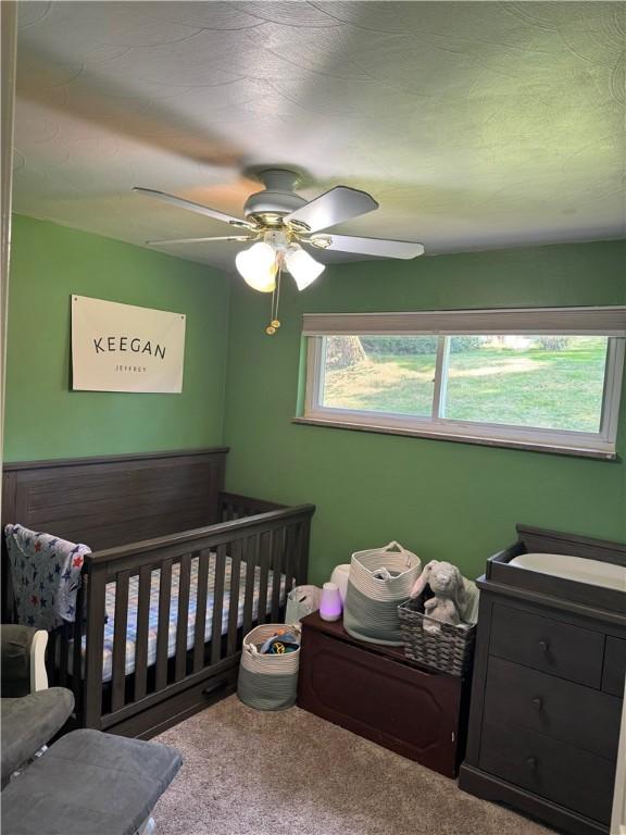 6512 Ventura Dr, South Park, PA 15236 - photo 21