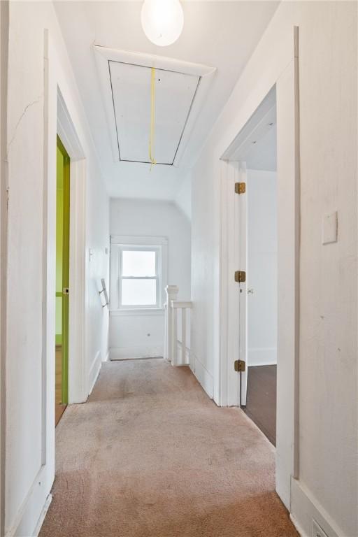 215 Virginia Ave, Aspinwall, PA 15215 - photo 25