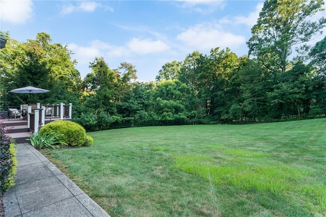 3424 Lashan Dr, Murrysville, PA 15668 - photo 49
