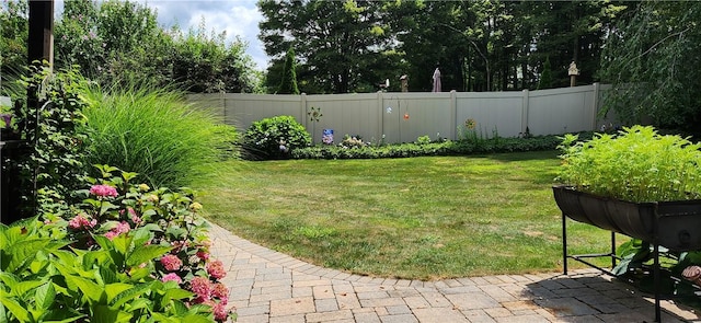 131 Lindy St, Chippewa Twp, PA 15010 - photo 49