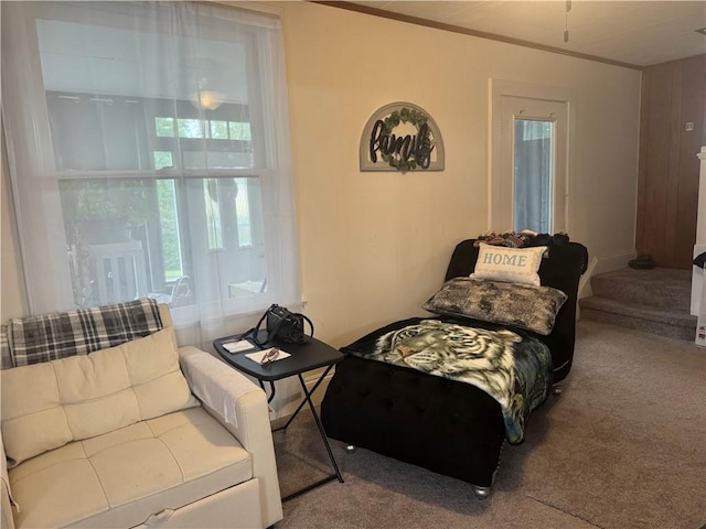 302 Crossland Ave, South Union Twp, PA 15401 - photo 13