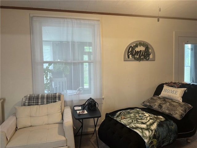 302 Crossland Ave, South Union Twp, PA 15401 - photo 19