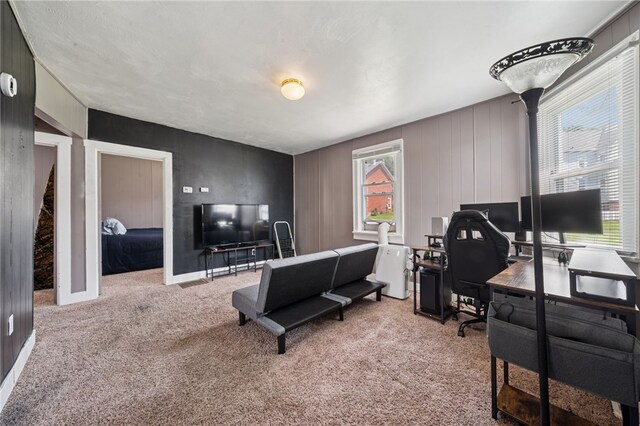 7151/2 Armstrong Unit 1/2, North Apollo, PA 15613 - photo 6