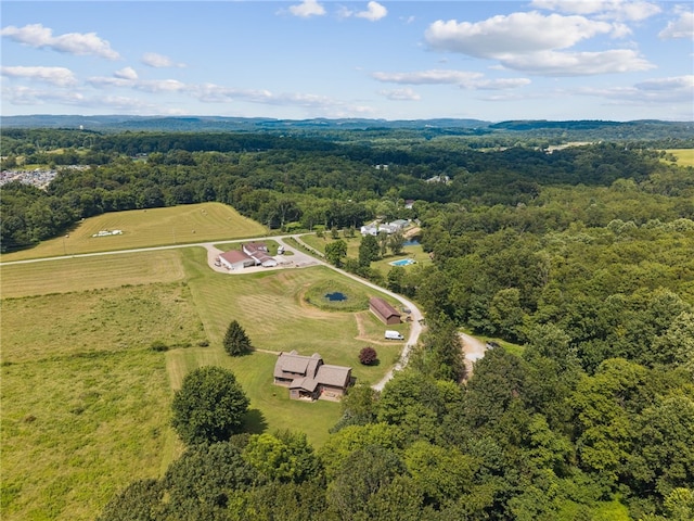 576 Stoney Run Rd, Derry Twp, PA 15717 - photo 13