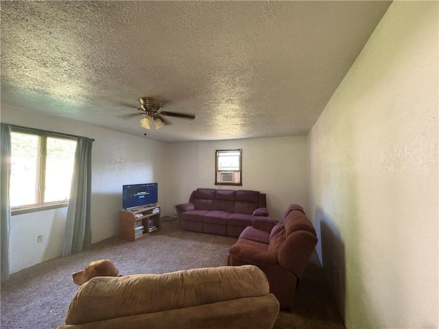 903 Clearfield Rd, Clearfield Twp, PA 16034 - photo 6
