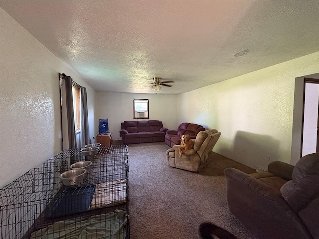 903 Clearfield Rd, Clearfield Twp, PA 16034 - photo 7