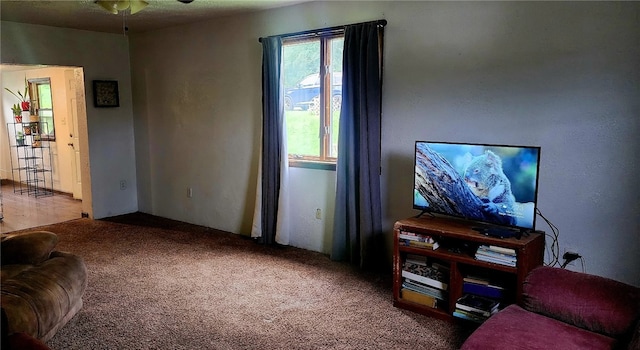 903 Clearfield Rd, Clearfield Twp, PA 16034 - photo 8