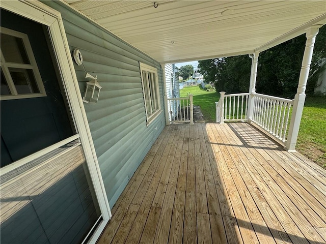 913 Old Zelienople Rd, Franklin Twp, PA 16117 - photo 5