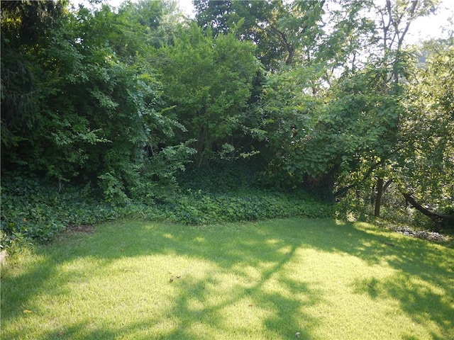 722 Golf Course Rd, Aliquippa, PA 15001 - photo 31