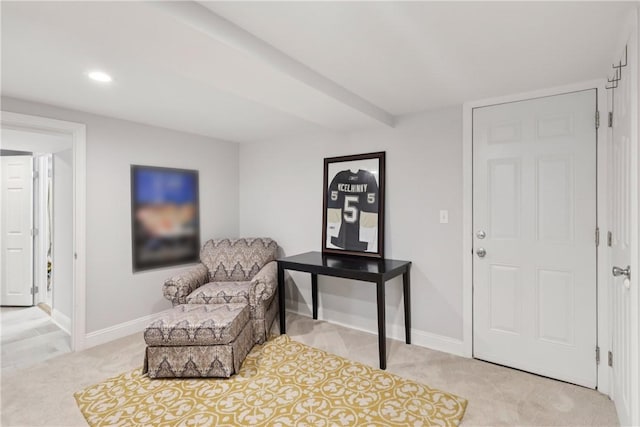 240 Roycroft Ave, Mt Lebanon, PA 15234 - photo 28