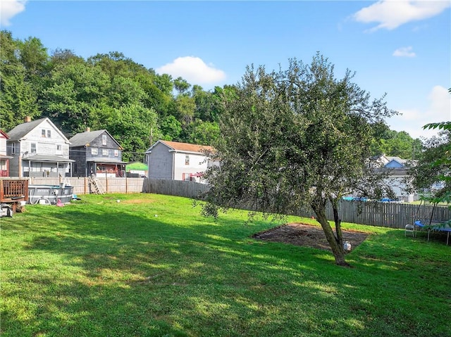 821 Grove Ave, New Brighton, PA 15066 - photo 5