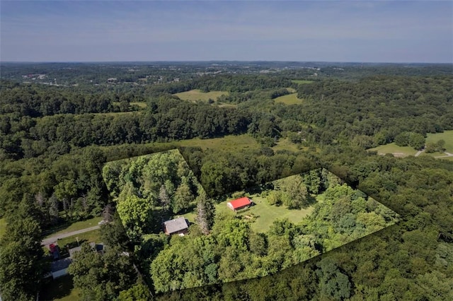 479 Brierly Ln, Pine Twp, PA 15044 - photo 12