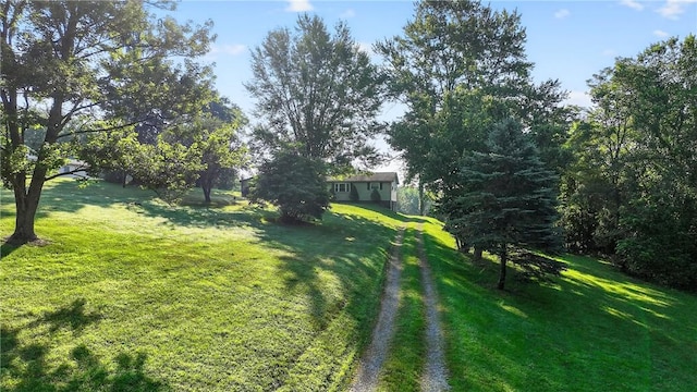 338 Tulip Dr, New Sewickley Twp, PA 15066 - photo 5