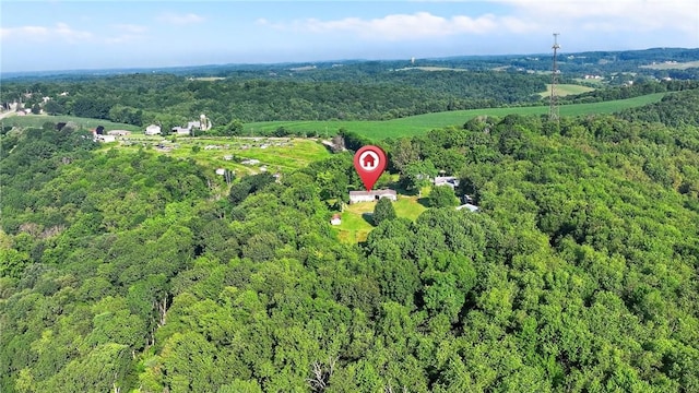 338 Tulip Dr, New Sewickley Twp, PA 15066 - photo 48