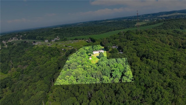 338 Tulip Dr, New Sewickley Twp, PA 15066 - photo 7