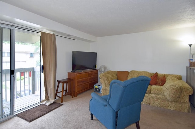 507 Hunters Path Rd Unit 32, South Fayette, PA 15017 - photo 4