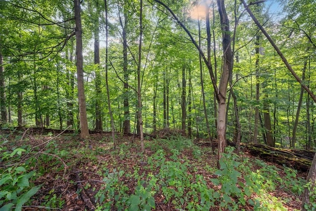 310 Penn Lear Ct, Monroeville, PA 15146 - photo 44