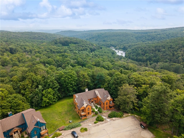5006 Swiss Mountain Dr, Seven Springs Resort, PA 15622 - photo 29