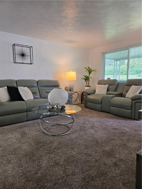 325 Walpole Dr, Penn Hills, PA 15235 - photo 6