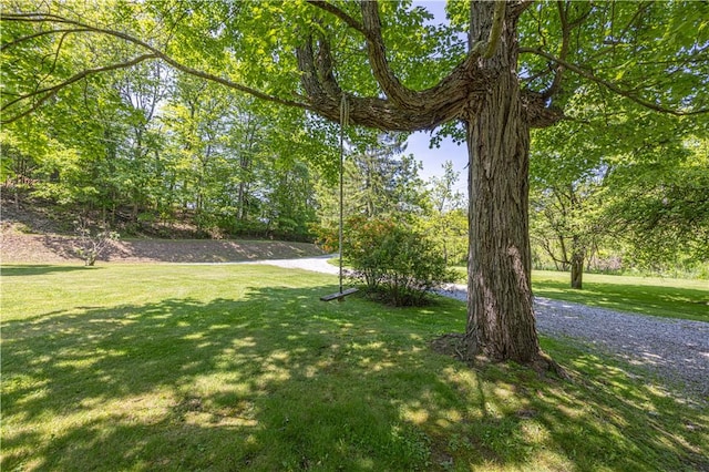 4564 National Pike, Markleysburg, PA 15459 - photo 4