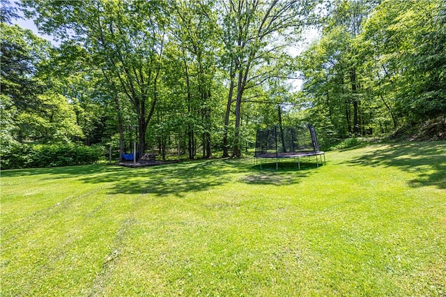 4564 National Pike, Markleysburg, PA 15459 - photo 5