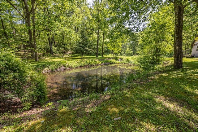 4564 National Pike, Markleysburg, PA 15459 - photo 6