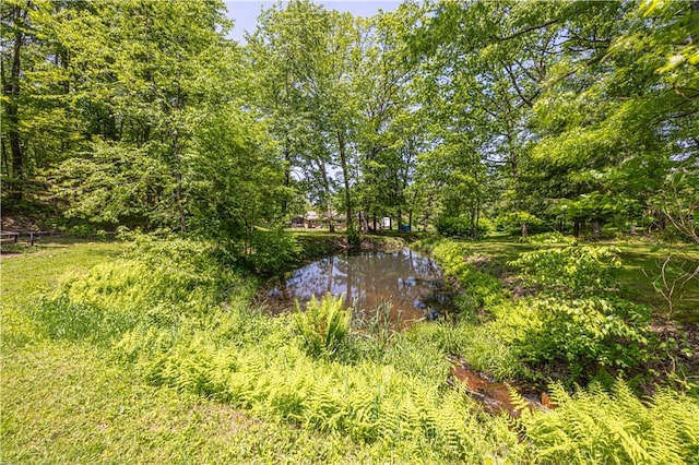 4564 National Pike, Markleysburg, PA 15459 - photo 7