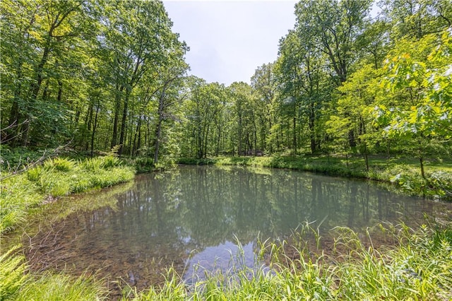 4564 National Pike, Markleysburg, PA 15459 - photo 8