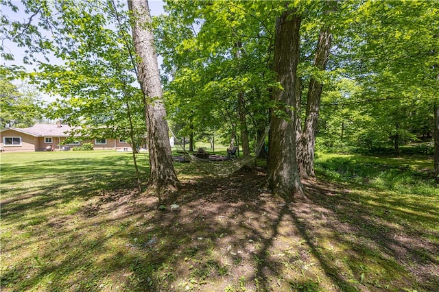 4564 National Pike, Markleysburg, PA 15459 - photo 9
