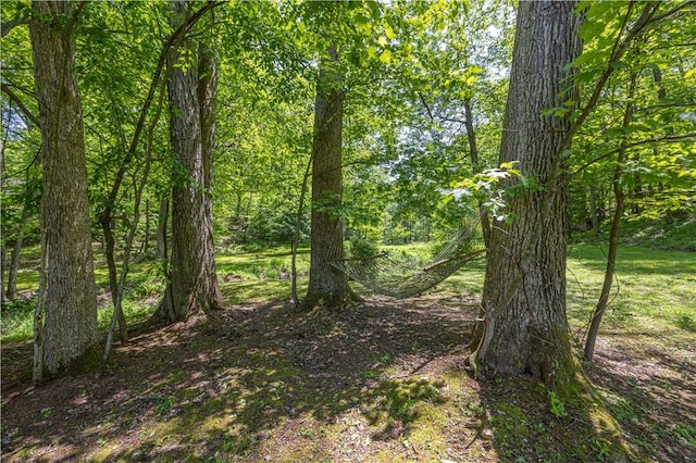 4564 National Pike, Markleysburg, PA 15459 - photo 10