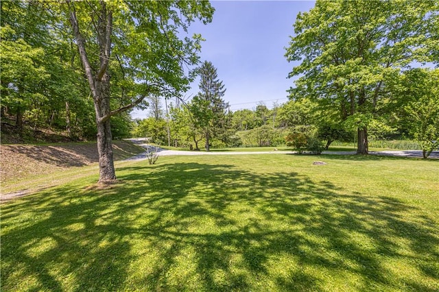 4564 National Pike, Markleysburg, PA 15459 - photo 11