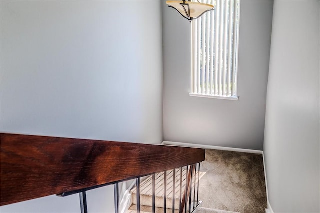 374 Central Dr, Cranberry Twp, PA 16066 - photo 5