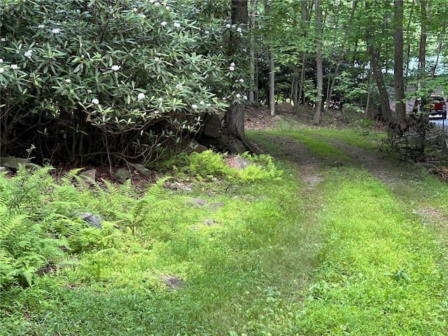 221 N Locust Rd, Bullskin Twp, PA 15610 - photo 21