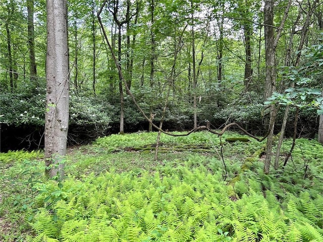 221 N Locust Rd, Bullskin Twp, PA 15610 - photo 23