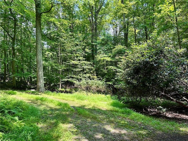221 N Locust Rd, Bullskin Twp, PA 15610 - photo 20