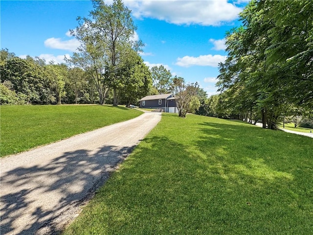 29 Savannah Gardner Rd, Shenango Twp, PA 16101 - photo 3
