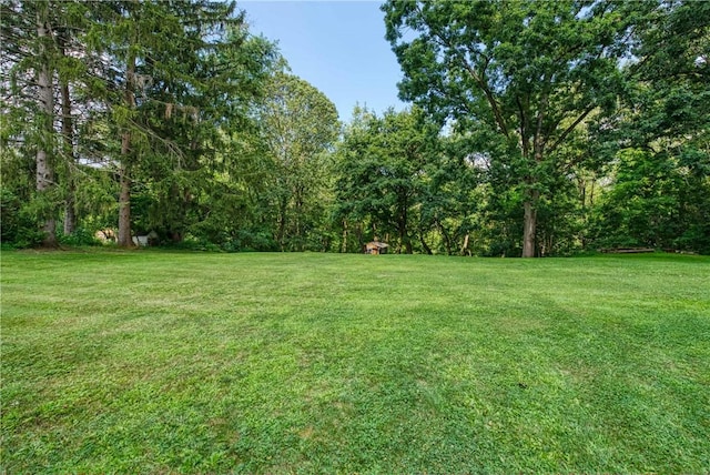 5403 Hardt Rd, Richland, PA 15044 - photo 35