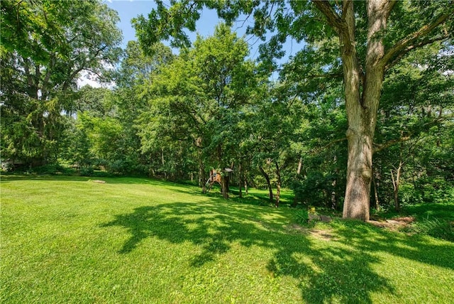 5403 Hardt Rd, Richland, PA 15044 - photo 36