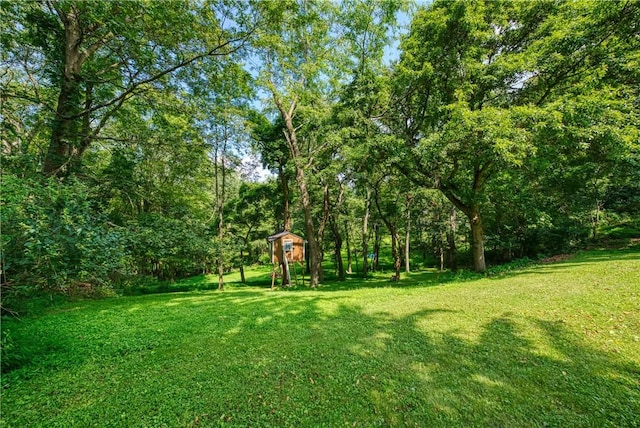 5403 Hardt Rd, Richland, PA 15044 - photo 38