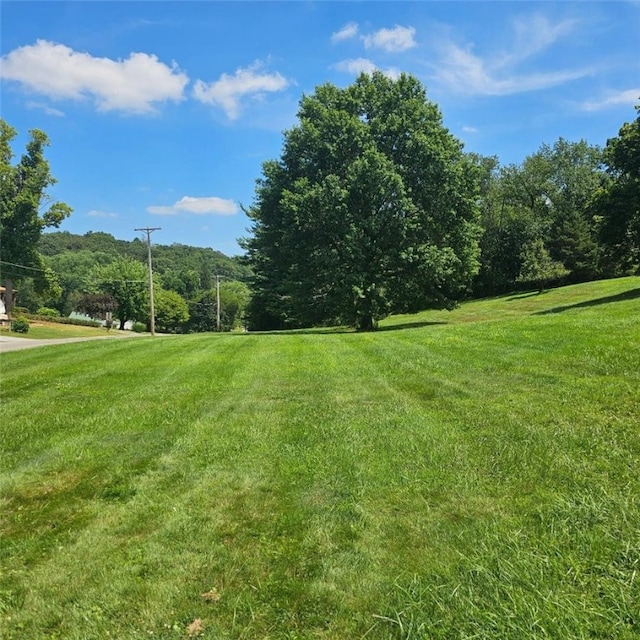 208 Center St, Daugherty Twp, PA 15066 - photo 10